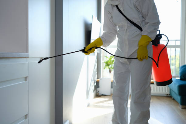 Best Mold Removal Process  in Shackle Island, TN