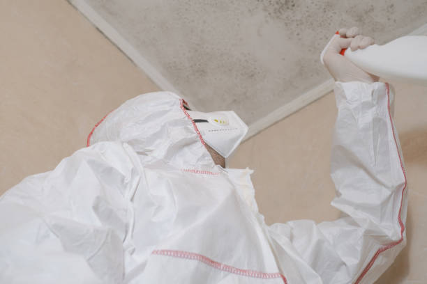 Best Toxic Mold Removal  in Shackle Island, TN